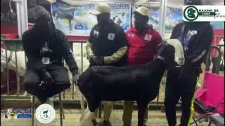 GUBA International Trade Fair Livestock Improvement with live coverage by SAAMA SA JURR NETWORK
