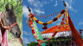 10th Muharram Juloos Dostpur|| 10 मुहर्रम दोस्तपुर जुलूस वीडियो 2022