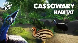 Planet Zoo: Australia Pack | Southern Cassowary Rainforest Habitat Speed Build