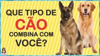 QUIZ DE PERSONALIDADE | Que Tipo de C&atilde;o Combina Mais Com Voc&ecirc; #IncrivelMenteCuriosa