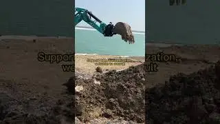 Rippa L330 mini excavator
