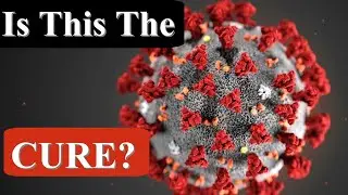 PLAQUENIL AND AZITHROMYCIN FOR CORONAVIRUS, CAN ANTIBIOTICS KILL VIRUSES, AZITHROMYCIN SIDE EFFECTS