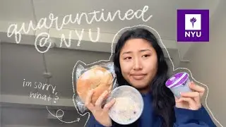 how my nyu quarantine is going