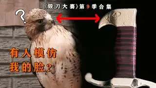 活體鍛造？為鍛造一把鷹頭之劍，刀匠居然獻祭了一頭活鷹……的肖像權！一口氣看完《鍛刀大賽》第9季18-21集