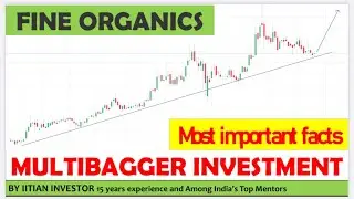 Fine Organics | Multibagger Stock ideas