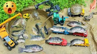 diy mini powerful diesel engine water pump for fish in the pond 🐟 science project‪