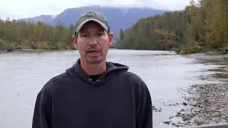 Build the Resilience Fund - Whatcom County