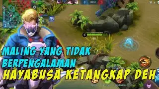 Hayabusa  sang maling buff yang ketangkap