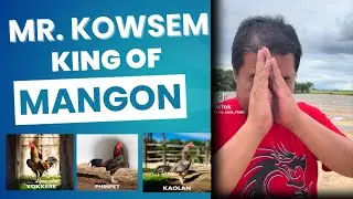 Mr. Kowsem king of mangon #mangon #yokkere #kaolan #phinpet #gofarm #kowsemfarm #viral #ayamjago 