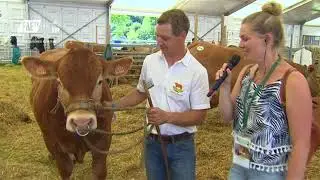 Foire Agricole Ettelbruck 2022   Convis Ring