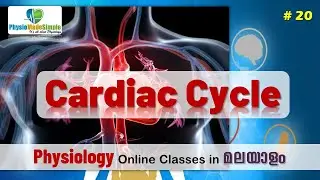 Ep.20 | Cardiac Cycle #humanphysiology #malayalam #cvs #heart