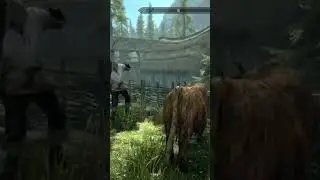 Работа на удаленке в скайриме #skyrim #livestream #games #ps5 #like #
