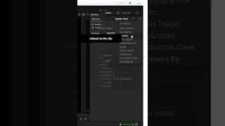 METADATA TAB in DaVinci Resolve. 