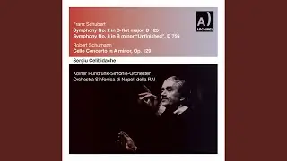Cello Concerto in A Minor, Op. 129: III. Sehr lebhaft (Live)