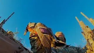 Texas Duck & Sandhill Crane Hunt: Muddy Water Outfitters