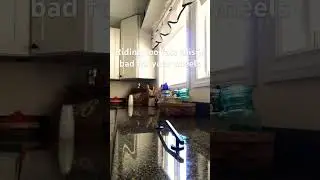 Mistakes beginners make when fingerboard #@FB.Christopher #shortvideo #viral #veiws