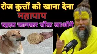 रोज कुत्तों को खाना देना महापाप रहस्य जानकर चौंक जाओगे premanand ji maharaj 