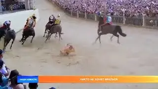Интернет-обзор за 16 августа 2019 года
