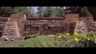 4246 Stargazer Drive,  Happy Jack, Arizona | Suzanne Knighton, Berkshire Hathaway