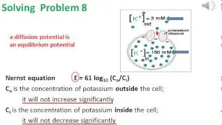 Diffusion and Osmosis problem 8 video