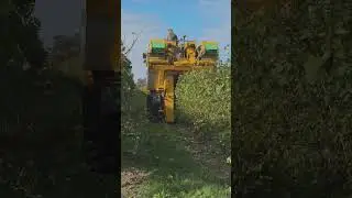 Grape Harvesting Machine - Gregoire GL8.6 Mechanical Grape Harvester #farming #grapeharvester