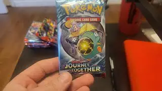 Pokemon journey together how many can we add to the binder 