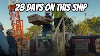 День 14 на корабле: награда за упорный труд