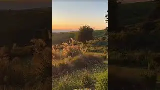 #SunsetViews #CoastalLandscape #CaliforniaCoast #GoldenHour #NaturePhotography #ScenicSunset