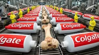 Inside The Largest Toothpaste Factory &mdash; From Animal Bones To Finished Toothpaste (Full Process)