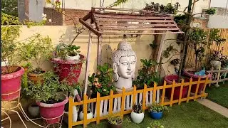 my beautiful solankis garden
