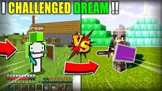 Minecraft, But You Can Fight With Dream...
