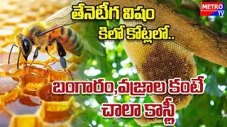Bee Venom More Expensive Than Gold &Diamonds?The Shocking Truth About Honey Bee Poison Worth Crores!