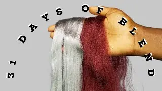 COLOUR 39 AND SILVER  HAIR BLEND | DIY CUSTOM  COLOUR  BLEND TUTORIAL | 31 DAYS OF BLEND