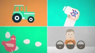 IFAH&rsquo;s vision for healthier animals and a healthier world