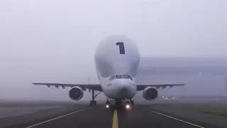 Airbus BelugaXL feature - historical retrospective  - Super Guppy, Beluga, BelugaXL