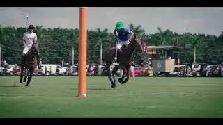 POLO SPORT- World's most exciting and fastest sport ever.