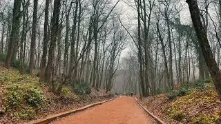 WALKING IN ISTANBUL - BELGRAD FOREST / 4K 60 FPS