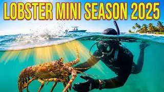 BIG PINE KEY LOBSTER CHAOS 2025! 🦞 MINI SEASON OPENS & WE HIT THE JACKPOT!