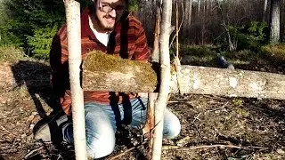 Building a primitive trap, using only materials from the forest.
