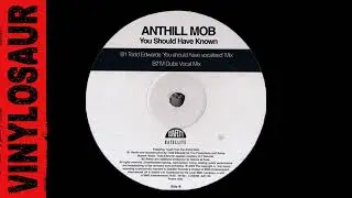 Anthill Mob | You Should Have Known (Todd Edwards Mix)