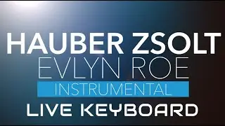 Hauber Zsolt I Evlyn Roe I Instrumental I Live keyboard I Bonanza Banzai I Music video