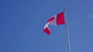 Canadian Flag - Stock Footage