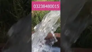 100 Kanal  Land For Sale In Khanewal #Shorts