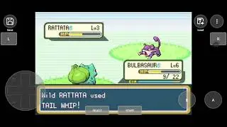 Bulbasaur VS Rattata!