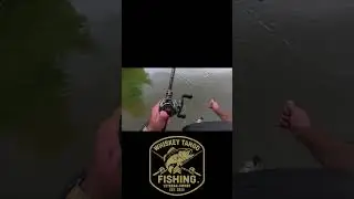 WTF Daily Catch Cam 157