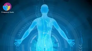 Full Body Detox Assist | Expel Harmful Chemicals & Cleanse Your Organs