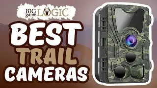 Best Trail Cameras 📷: In-Depth Buyers Guide | Big Game Logic