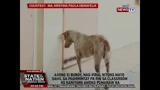 SONA: Asong si Buboy, nag-viral nitong Mayo dahil sa paghihintay pa rin sa classroom ng ...