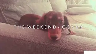 SZA - The Weekend ( cover by Shoko Peppa )