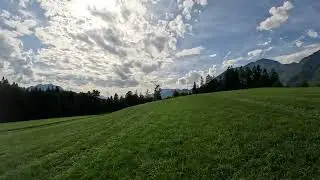 Mountain Woods Wanderer in 4 K  Session 6